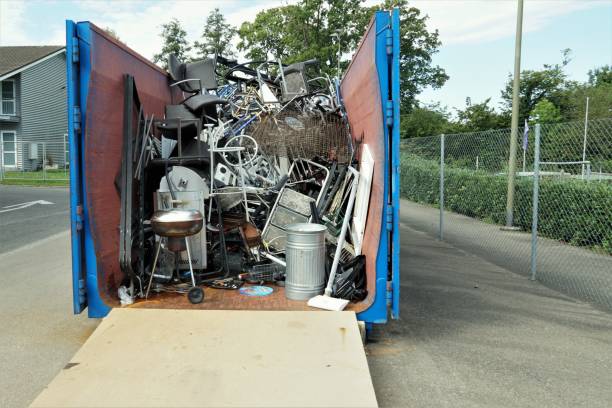 Yard Cleanup Services in Scandia, MN